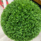 Cedar topiary ball uv rated