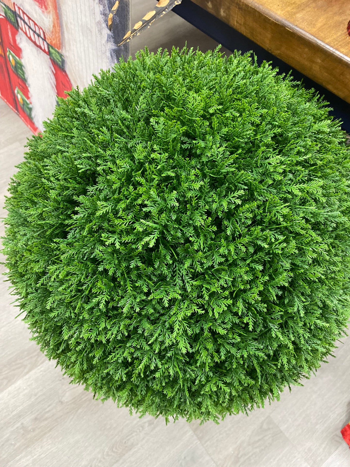 Cedar topiary ball uv rated