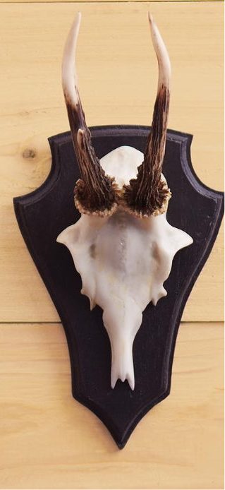 Hunt Club Trophy Wall Art