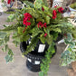 Geranium planter filler only