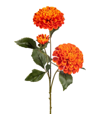 29" DAHLIA