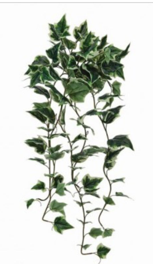 42" UV GARDEN IVY HANGING BUSH