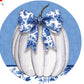 Blue and White Pumpkin Collection