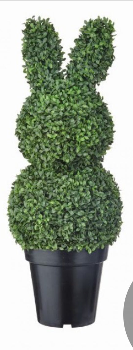 Boxwood bunnies uv rated