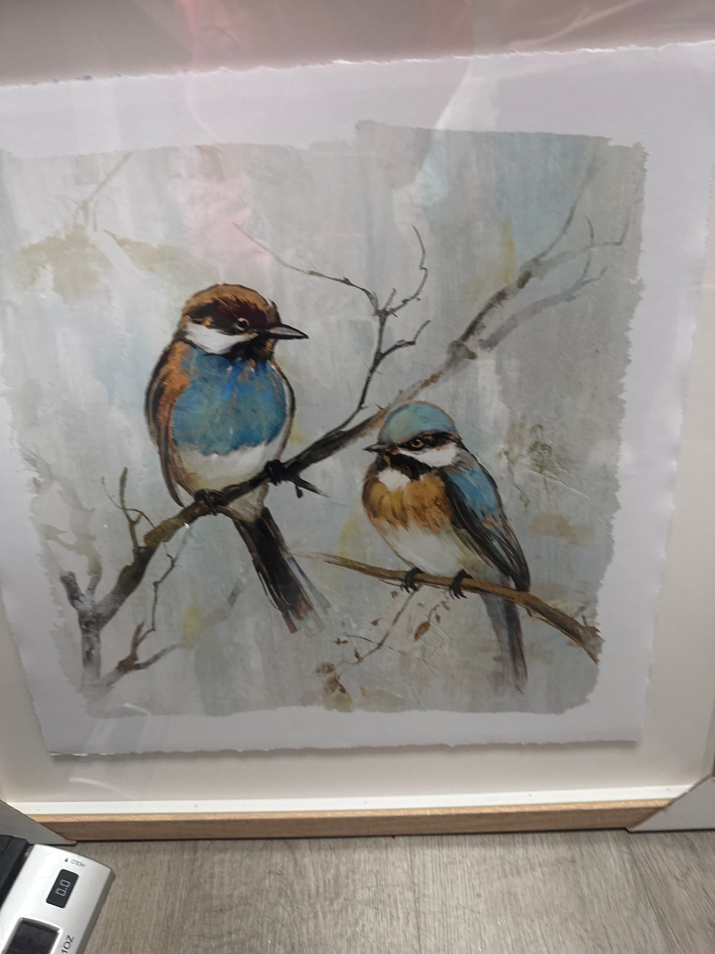 Square framed bird print