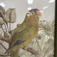 Tropical Parrot Prints