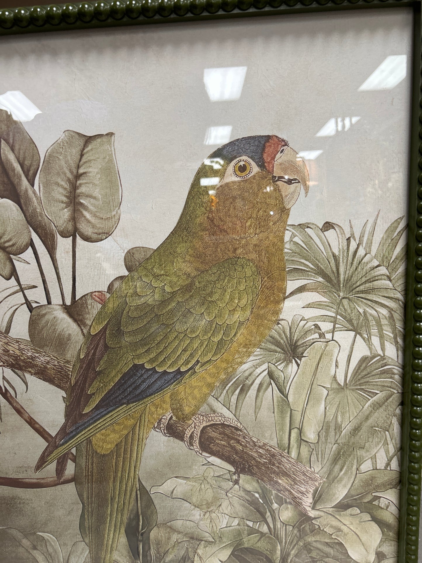 Tropical Parrot Prints