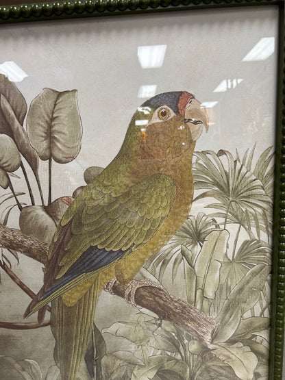 Tropical Parrot Prints