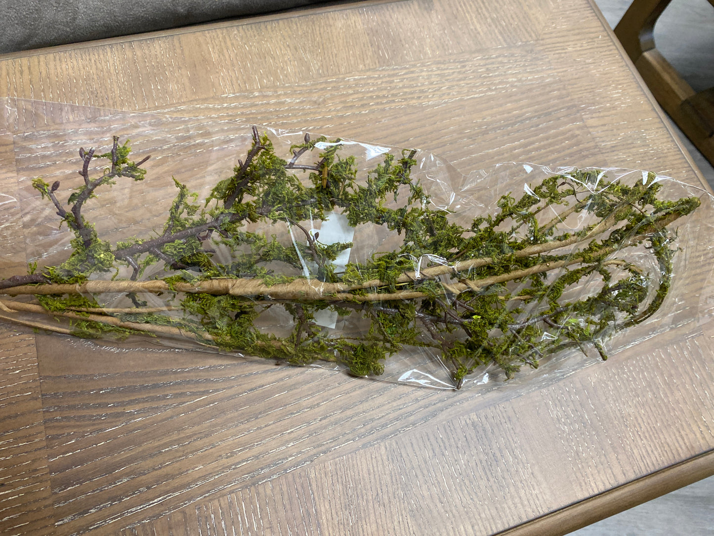 Wild mossed vine branch 38”