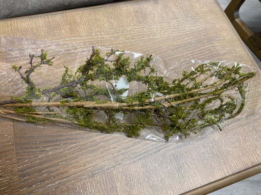 Wild mossed vine branch 38”