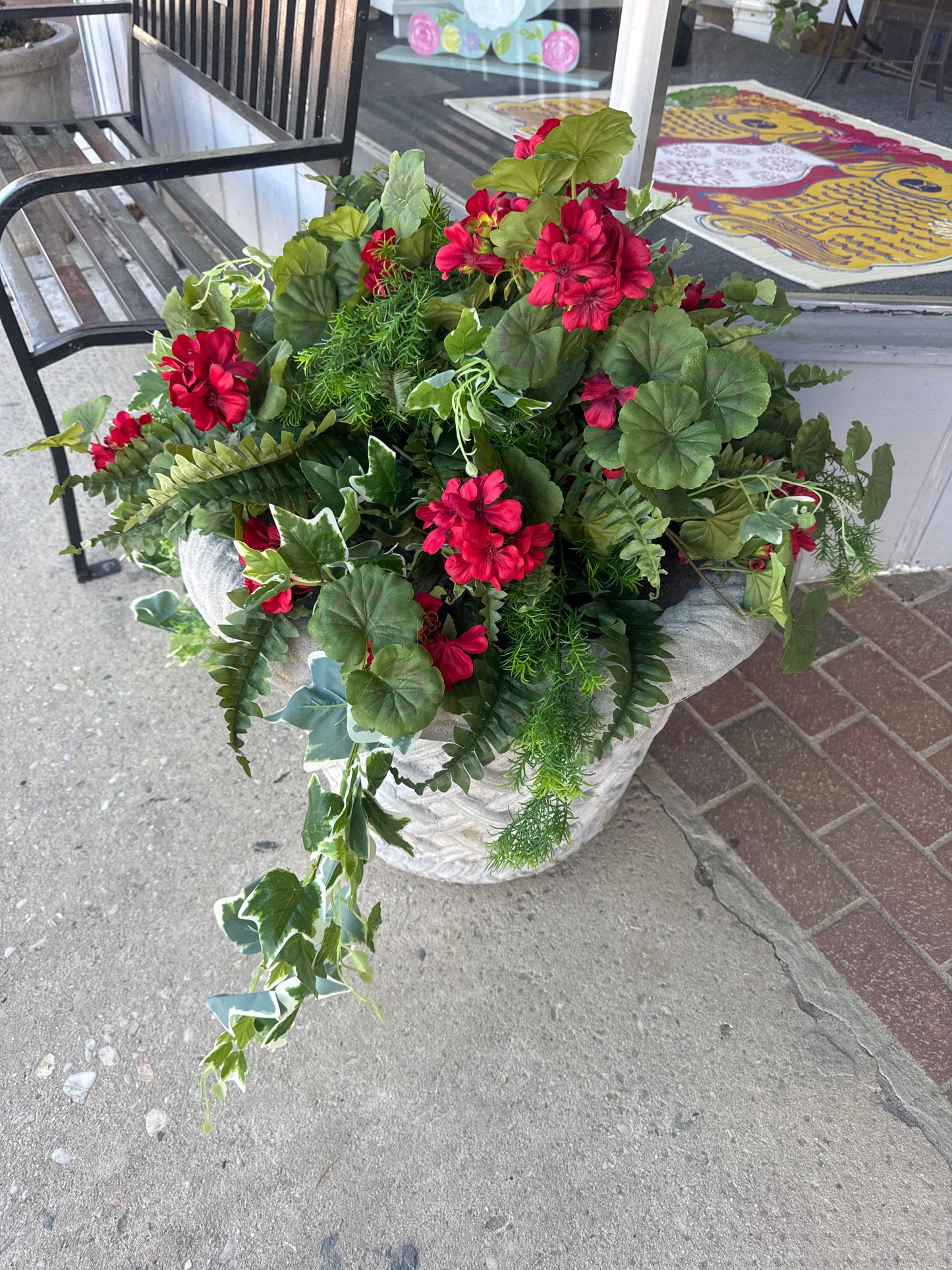 Geranium planter filler only