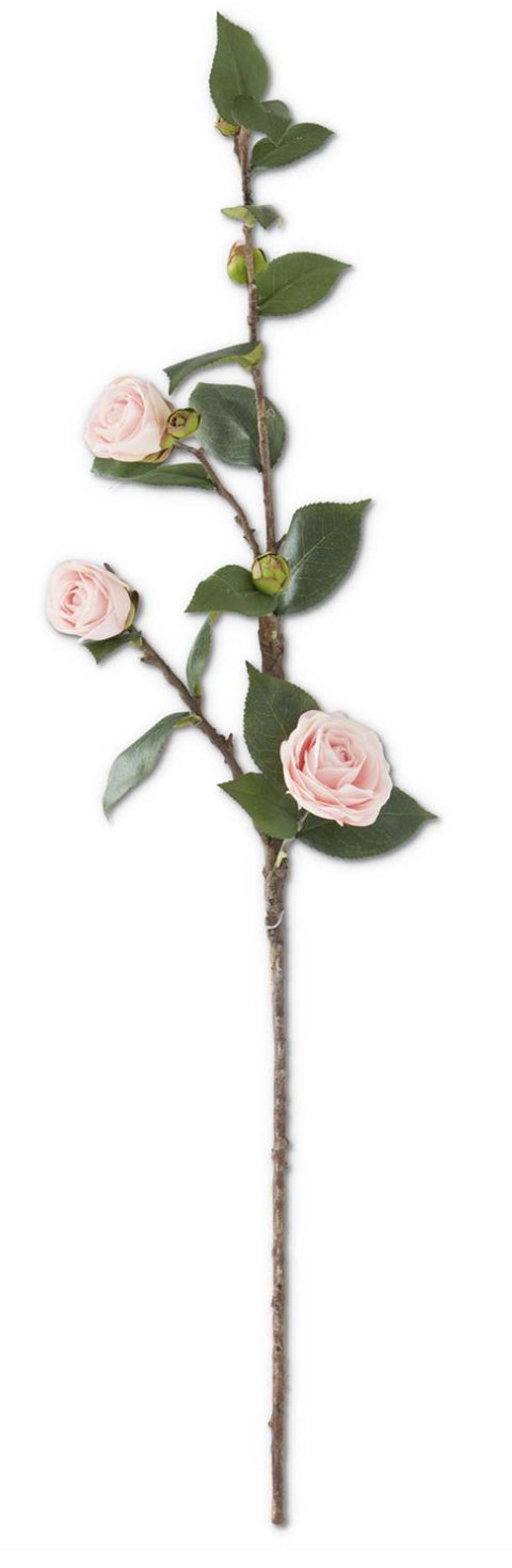30 INCH PINK CAMELLIA STEM