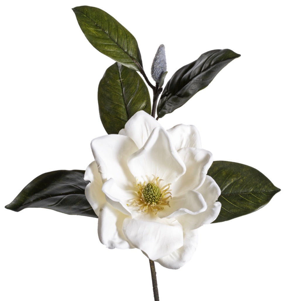 18" MAGNOLIA STEM