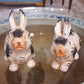 Black bunny pair