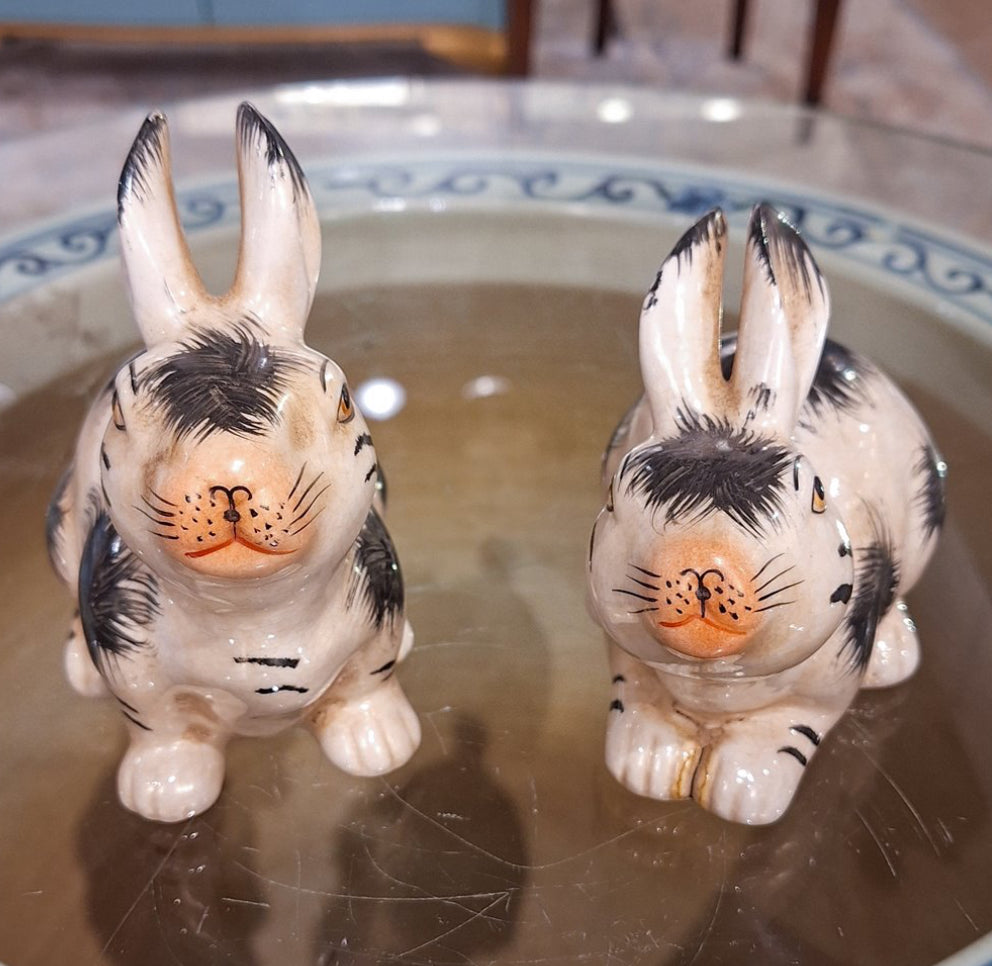 Black bunny pair