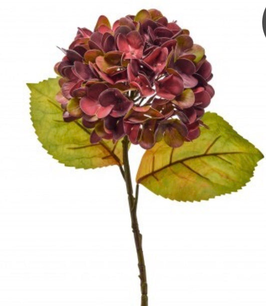 23"JUST CUT AUTUMN HYDRAGNEA