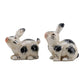 Black bunny pair