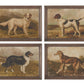 23.5 Inch Dog Prints