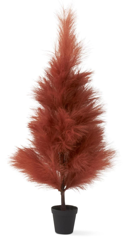 3’ rust pampas grass tree