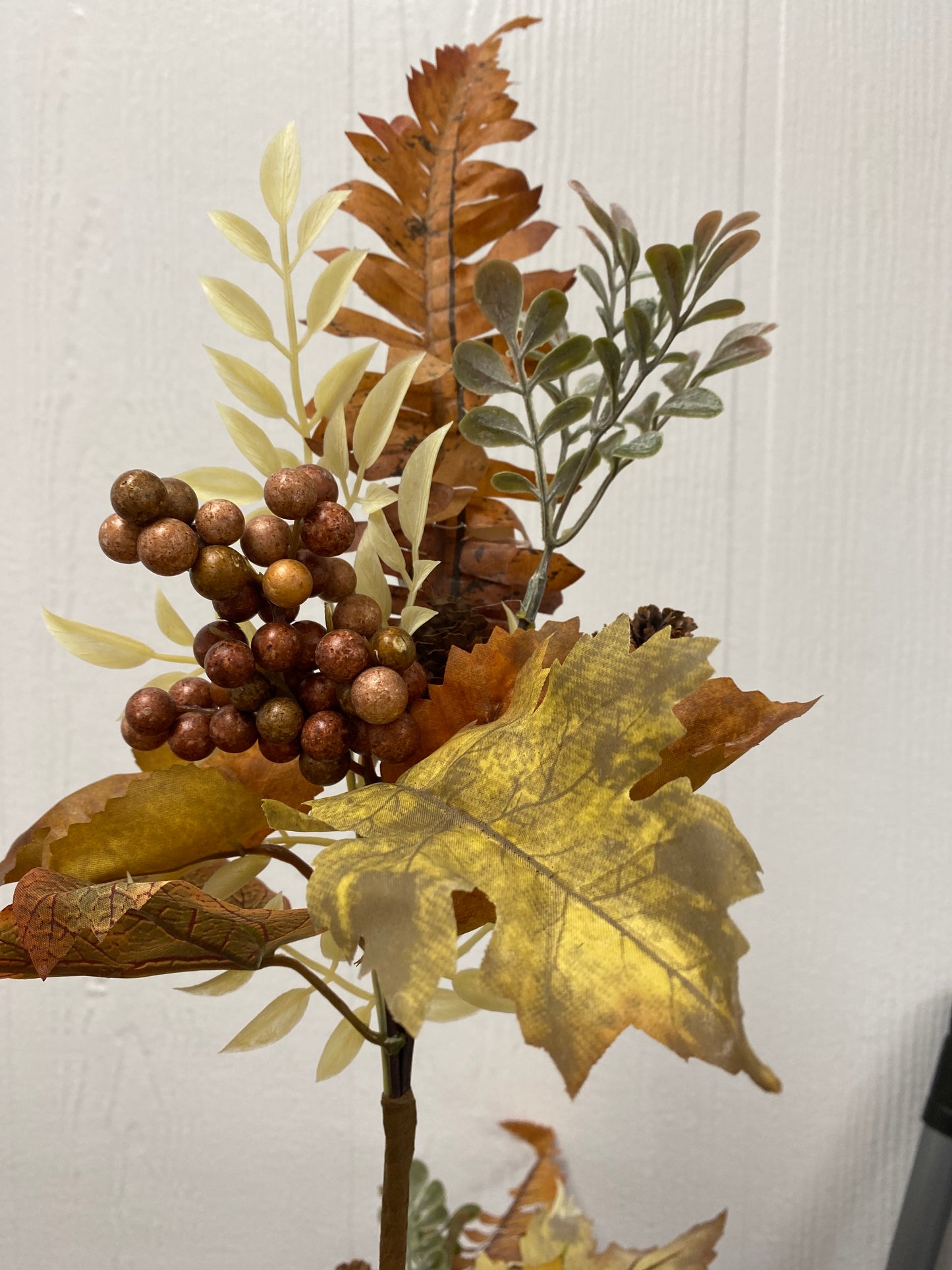 Autumn foliage and berry pic