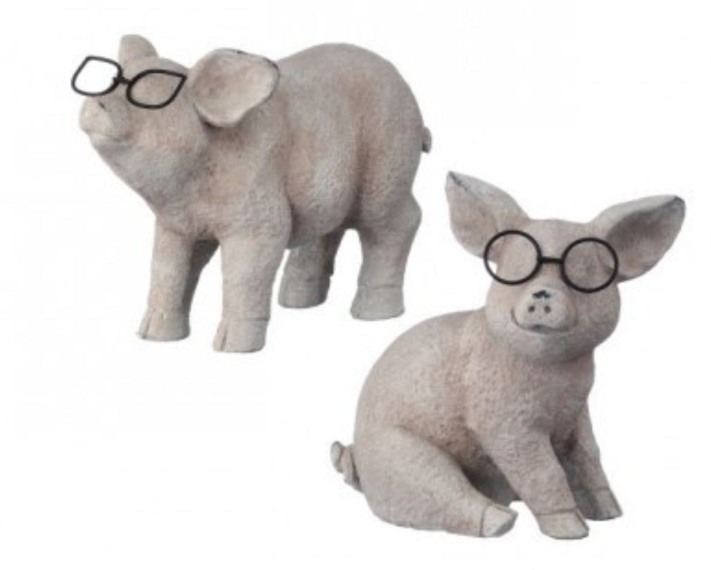 Resin pig with metal glasses 6.5in