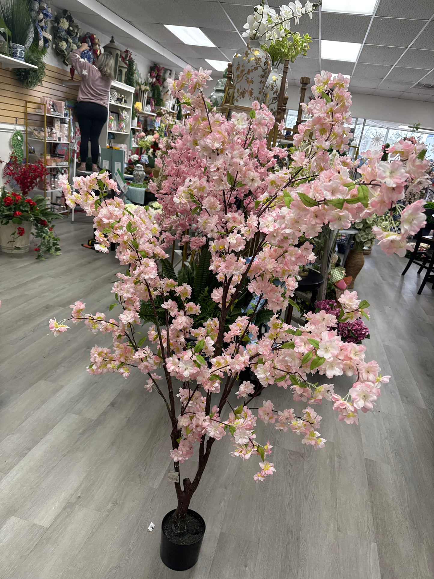 5.5’ pink cherry blossom tree