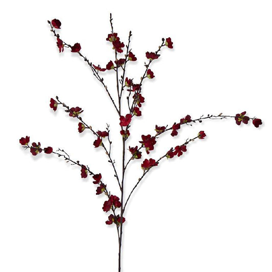 Red cherry blossom stem