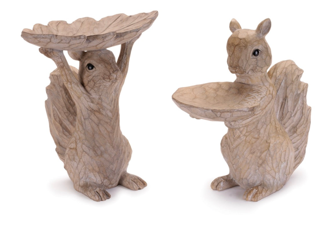 SQUIRREL FEEDER