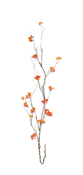 43" Bittersweet Vining Branch
