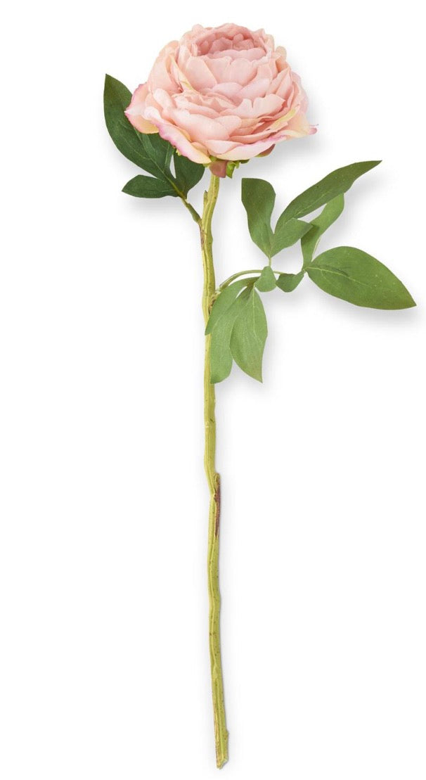 27 Inch Pink Peony Stem