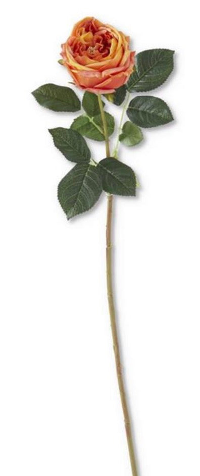 24” real touch Austin rose stem