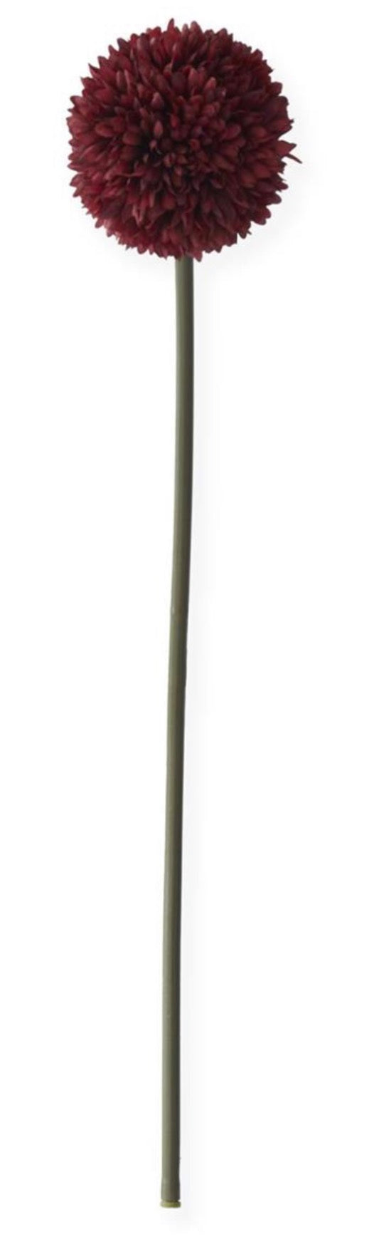 26 Inch Burgundy Allium Stem