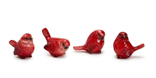 Red Cardinal