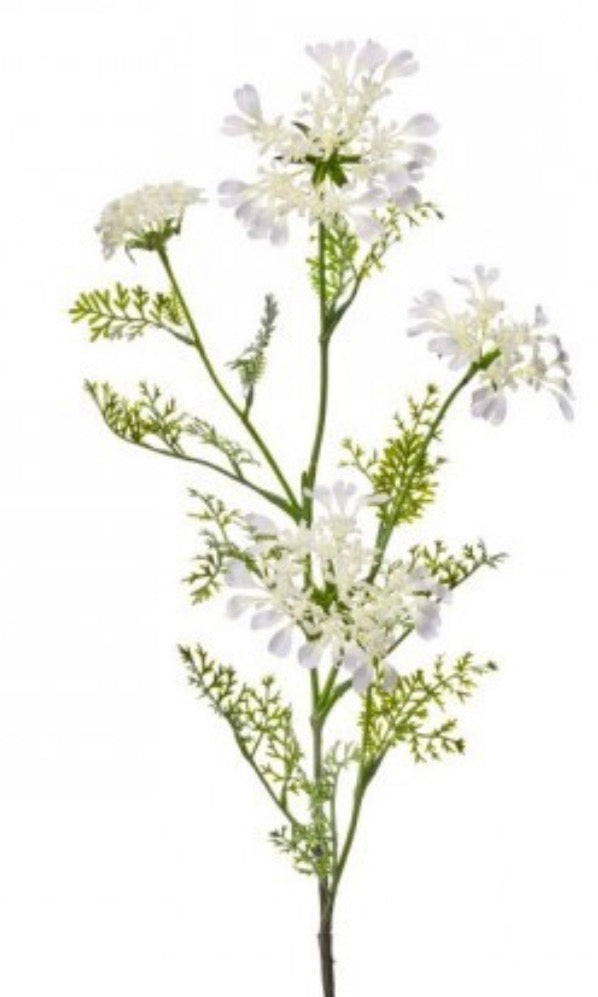 FIELD YARROW STEM X 4 38"