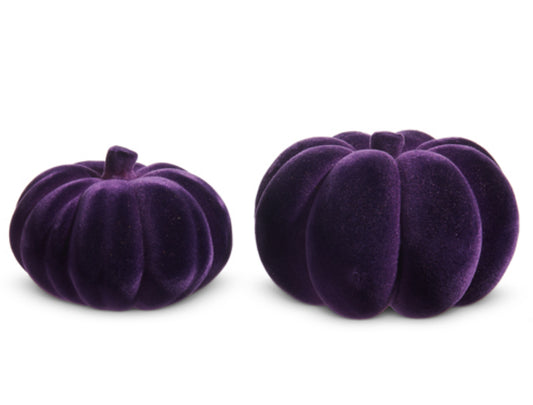Purple flocked pumpkin