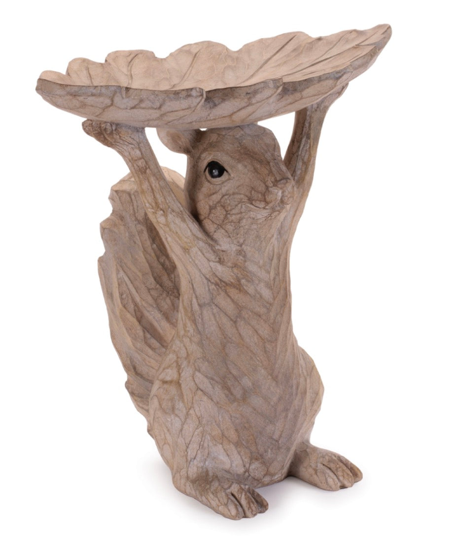 SQUIRREL FEEDER