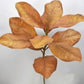 22.5” Magnolia Spray
