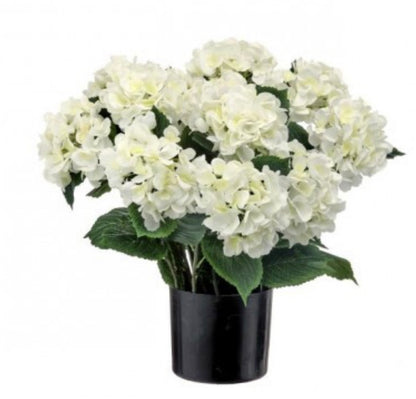 22" POTTED GARDEN HYDRANGEA