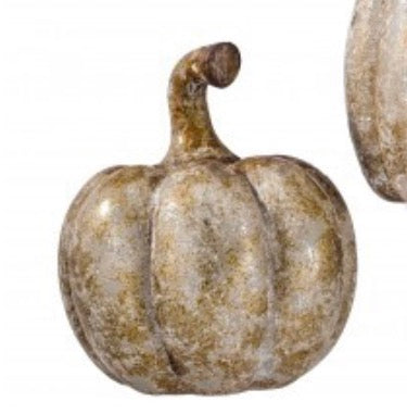 AGED PUMPKIN