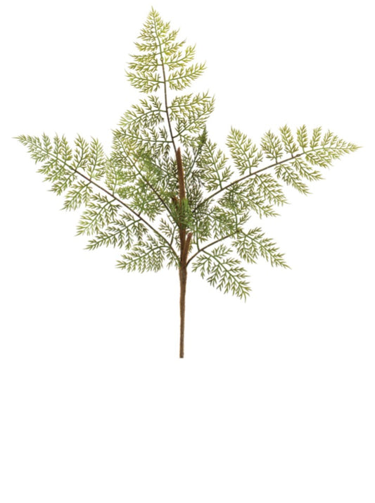 FERN SPRAY 20”H