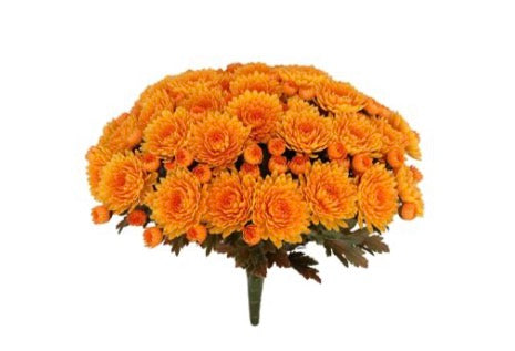 MUM BUSH W/33 BLOOMS & 66 BUDS, UV PROOF, 14.17"