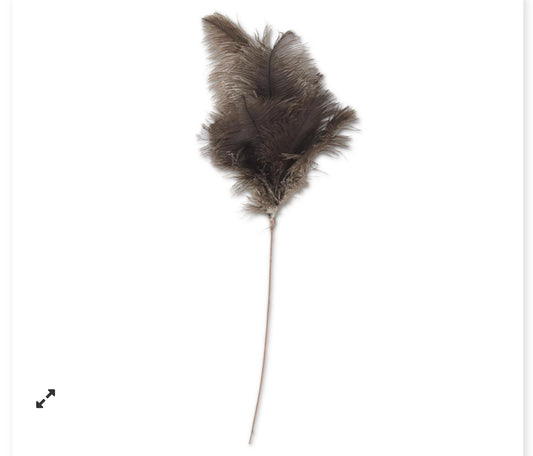 22 INCH BROWN FEATHER SPRAY