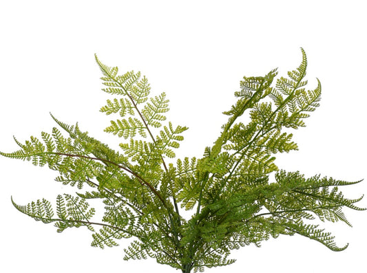 23" LACE FERN BUSH (SOFT TCH)
