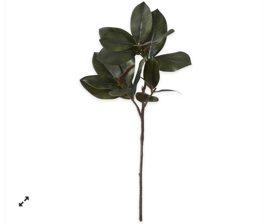 33 Inch Burgundy & Green Magnolia Branch