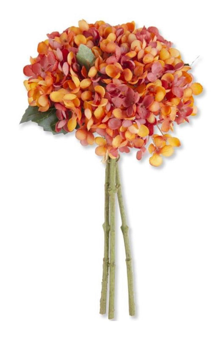 13 Inch Orange Two-Tone Hydrangea Bundle