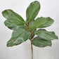 22.5” Magnolia Spray
