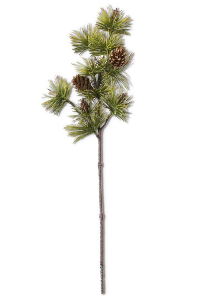 18 Inch Long Needle Pine Stem w/Pinecones