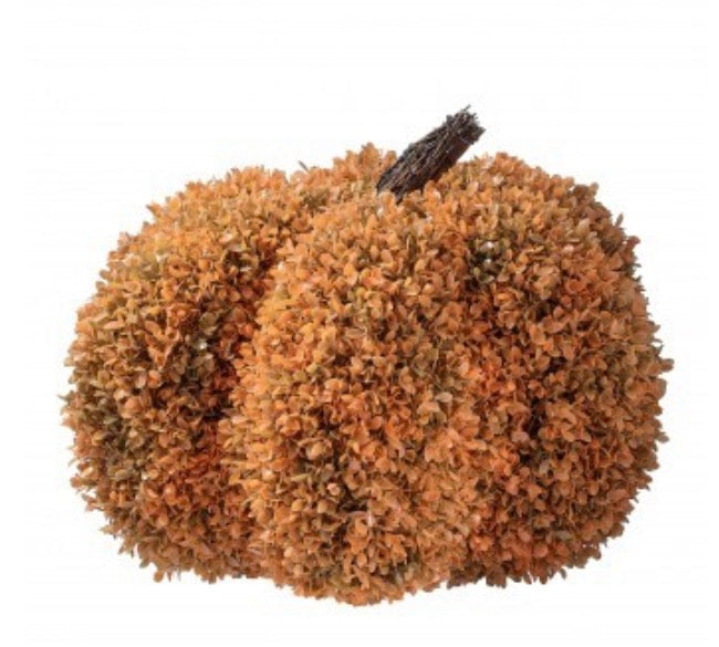 UV AUTUMN BOXWOOD PUMPKIN