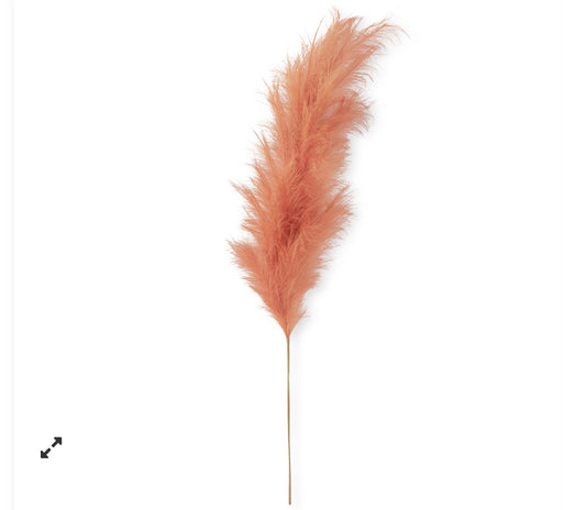 58.5 Inch Orange Pampas Grass Stem