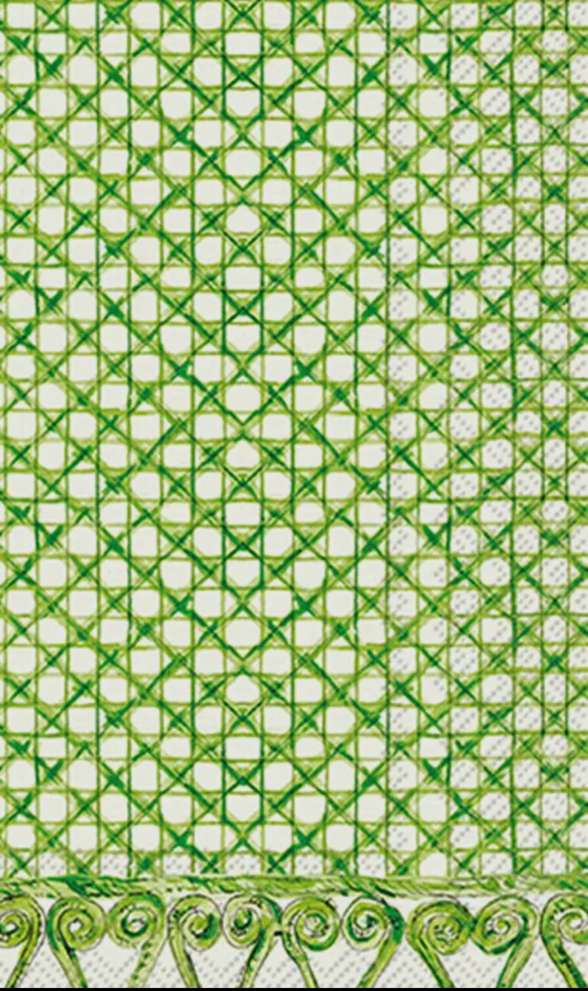 Paper Guest Towels 16 Ct Botanical Cane Green
Rosanne Beck